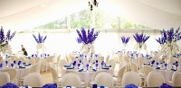 Aimee Dunne Weddings and Events 1061925 Image 1